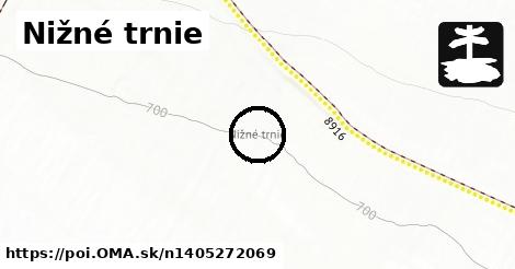 Nižné trnie