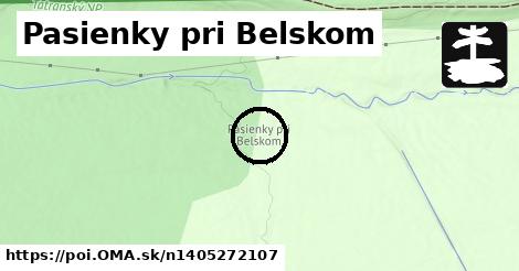 Pasienky pri Belskom