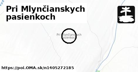 Pri Mlynčianskych pasienkoch