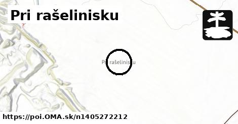 Pri rašelinisku