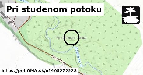 Pri studenom potoku