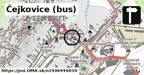 Čejkovice (bus)