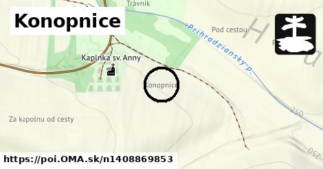 Konopnice