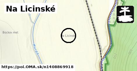 Na Licinské