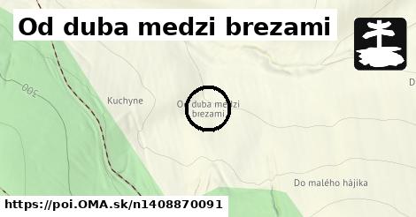 Od duba medzi brezami