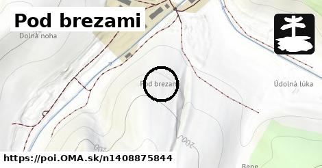 Pod brezami