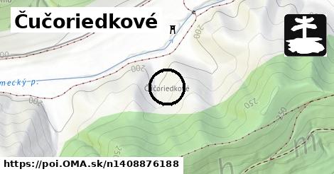 Čučoriedkové