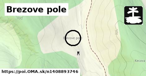 Brezove pole