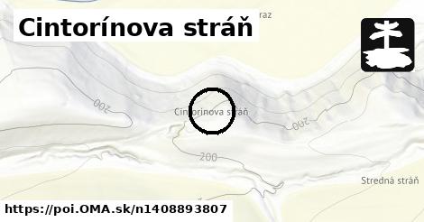 Cintorínova stráň