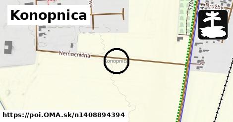 Konopnica