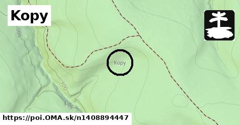 Kopy