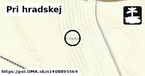 Pri hradskej