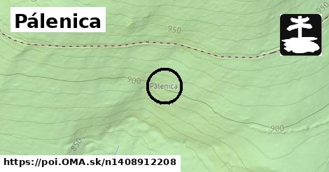 Pálenica