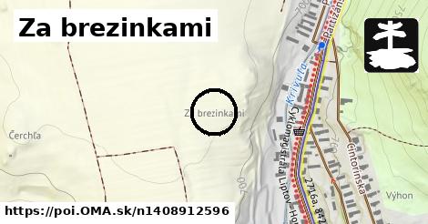 Za brezinkami