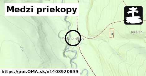 Medzi priekopy