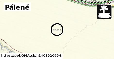 Pálené