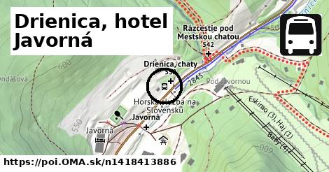 Drienica, hotel Javorná