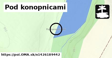 Pod konopnicami