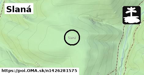 Slaná