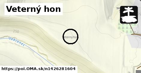 Veterný hon