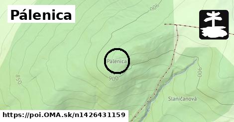 Pálenica