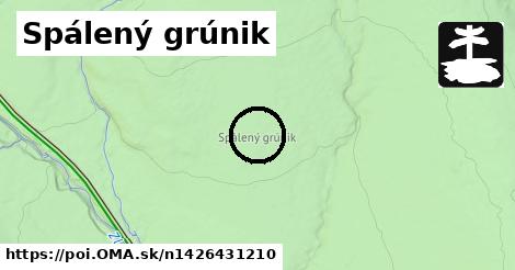 Spálený grúnik