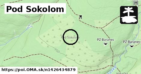 Pod Sokolom