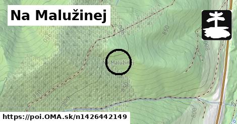 Na Malužinej