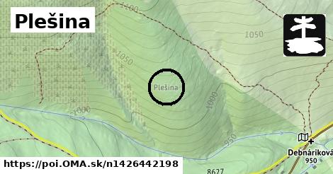 Plešina