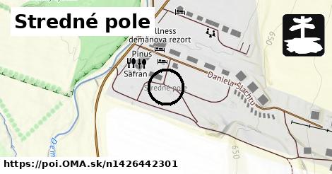 Stredné pole