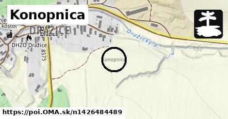 Konopnica