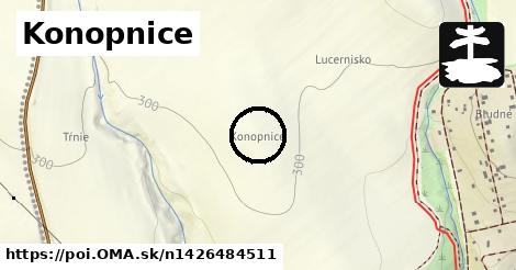 Konopnice