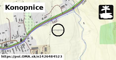 Konopnice