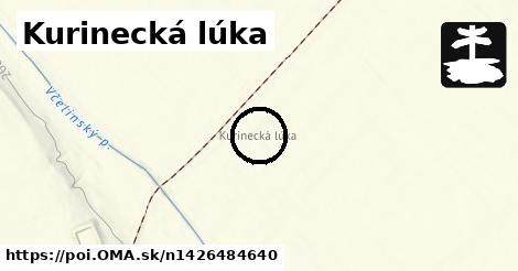 Kurinecká lúka