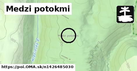 Medzi potokmi