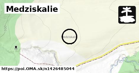 Medziskalie