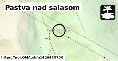 Pastva nad salasom