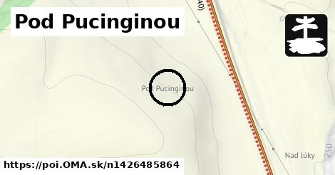 Pod Pucinginou