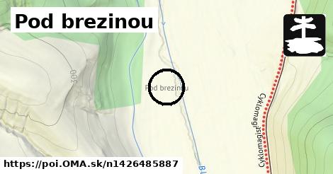 Pod brezinou