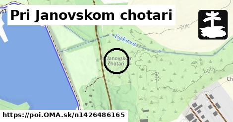 Pri Janovskom chotari