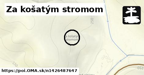 Za košatým stromom