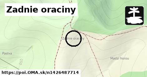 Zadnie oraciny