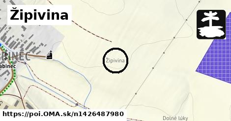 Žipivina