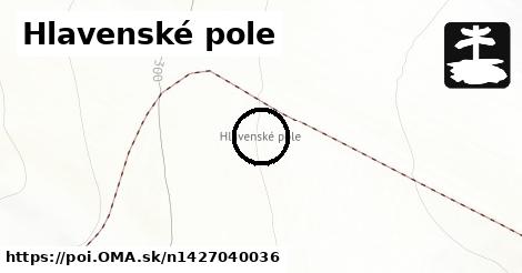 Hlavenské pole