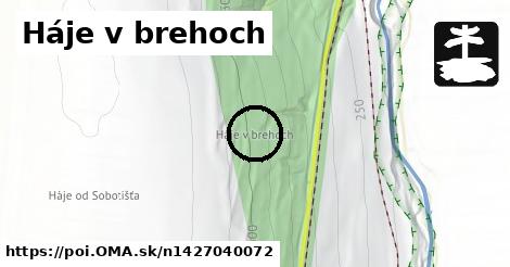 Háje v brehoch