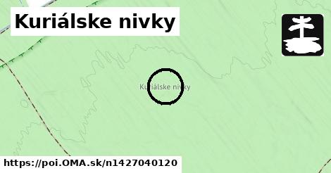 Kuriálske nivky