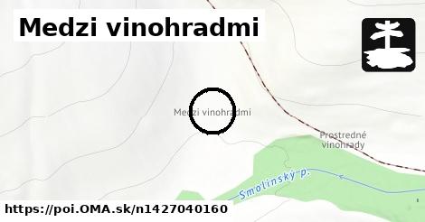 Medzi vinohradmi