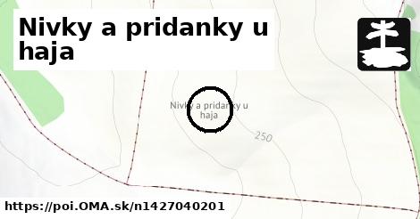 Nivky a pridanky u haja