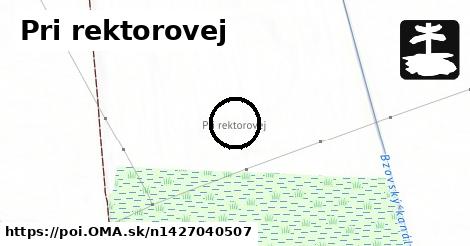 Pri rektorovej