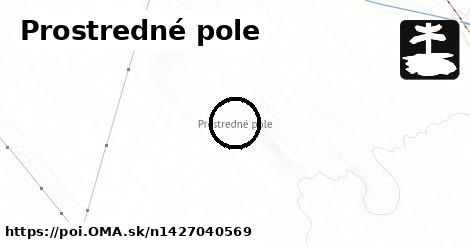 Prostredné pole